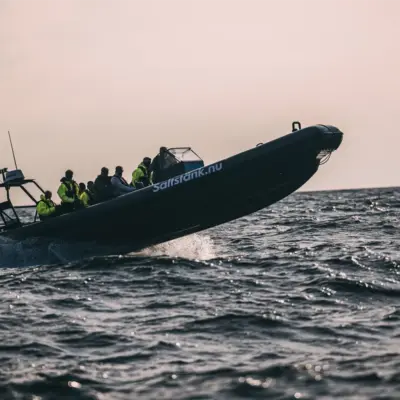 Saltstank Upplevelser i Skärgråden
