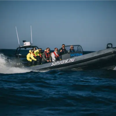 Saltstank Upplevelser i Skärgråden